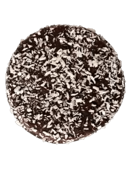 Galleta Bio Integral Digestive con Chocolate & Coco. Vegana