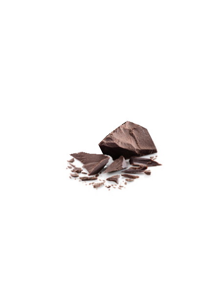 Galleta Bio Integral Digestive con Chocolate & Coco. Vegana