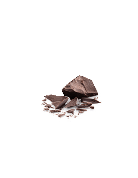 Galleta Bio Integral Digestive con Chocolate & Coco. Vegana